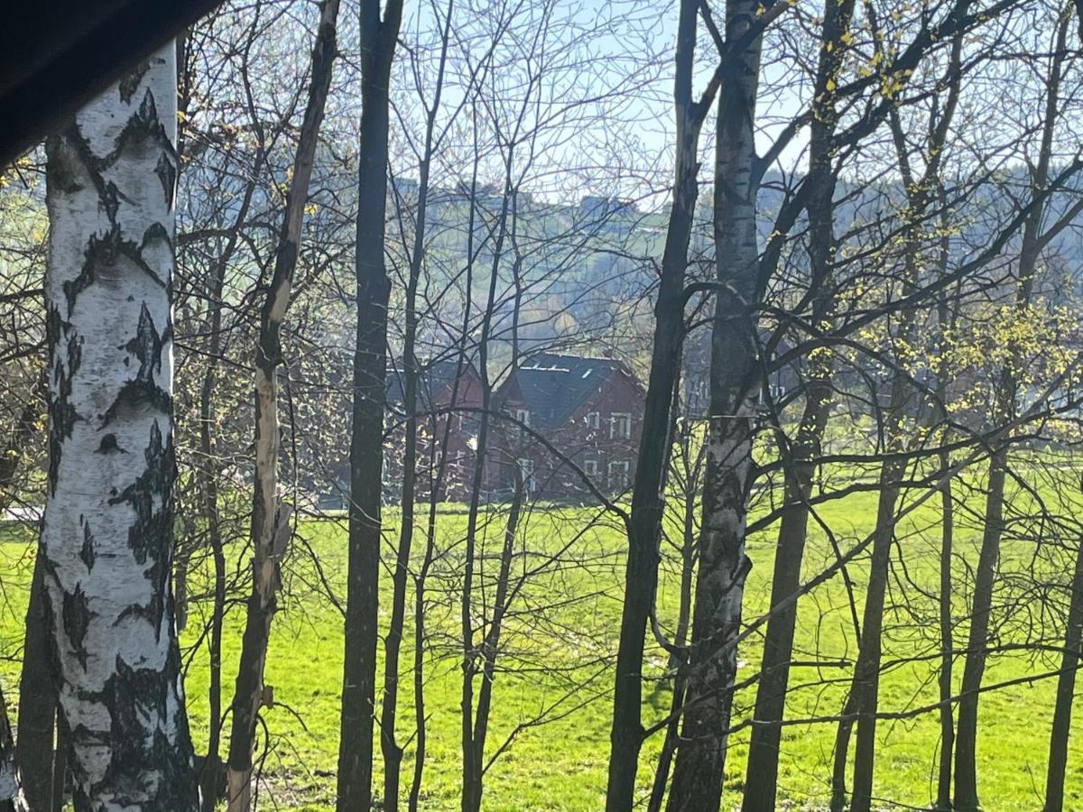 Vceli Chata Mirda Pirda Dolní Moravice Exterior foto