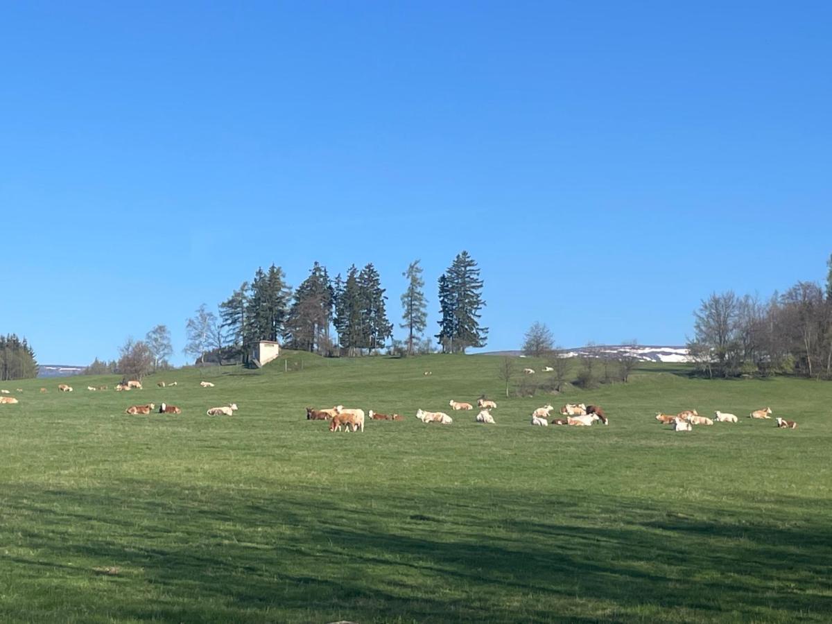 Vceli Chata Mirda Pirda Dolní Moravice Exterior foto